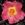 Irish Fireflame - 