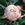 James Bourgault - 