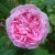 James Mitchell - 