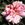 Jean Sisley - 