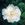 Karl Forster - 