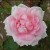 Killarney - 