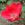 Kirsten Poulsen - 