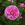 L'Ouche - 