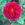 Le Havre - 