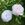 Mabel Morrison - 