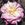 Marie Van Houtte - 