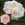 Mme. Antoine Mari - 
