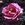 Mme. Berkeley - 