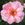 Mme. Charles - 