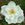 Mme. Georges Bruant - 