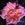Mme. Laurette Messimy - 