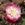 Mme. de Watteville - 