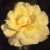 Mountbatten - 