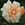 Mrs Aaron Ward - 