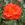 Mystique - 