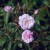 Narrow Water - 