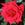 National Trust - 