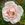 Northamptonshire - 