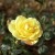 Norwich Union - 