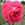Pierre Notting - 