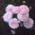 Pink Prosperity - 