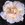 Rival de Paestum - 