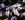 Rosa sancta - 
