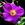 Rosa virginiana - 