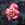 Rosette Delizy - 