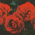 Ruby Anniversary - 