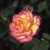 Sheila's Perfume - 