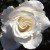 Sir Frederick Ashton - 