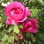 Sir Paul Smith - 