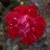 St. Prist de Breuze - 