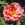 Talisman Climber - 