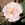 Thelma - 