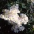 Toby Tristram - 