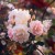 Treasure Trove - 