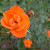 Warm Welcome - 