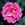 William and Mary - 