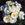 Yvonne Rabier - 