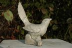 Amsel