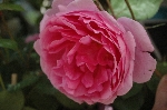 John Clare