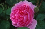 John Clare