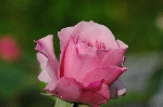 Indra
