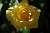 Goldene Heimat 05 - 