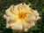 Parure d'or