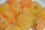 Himbeere 'Fallgold'