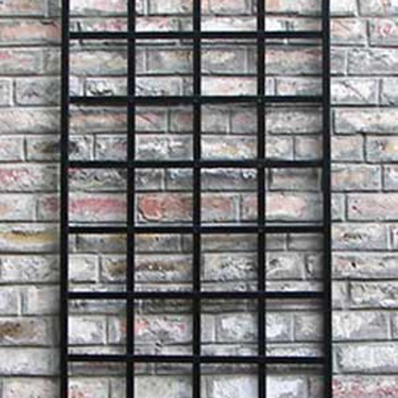 Kleines Wandspalier